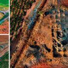 SEGUIMIENTO PROYECTO LA MOTILLA DEL RETAMAR